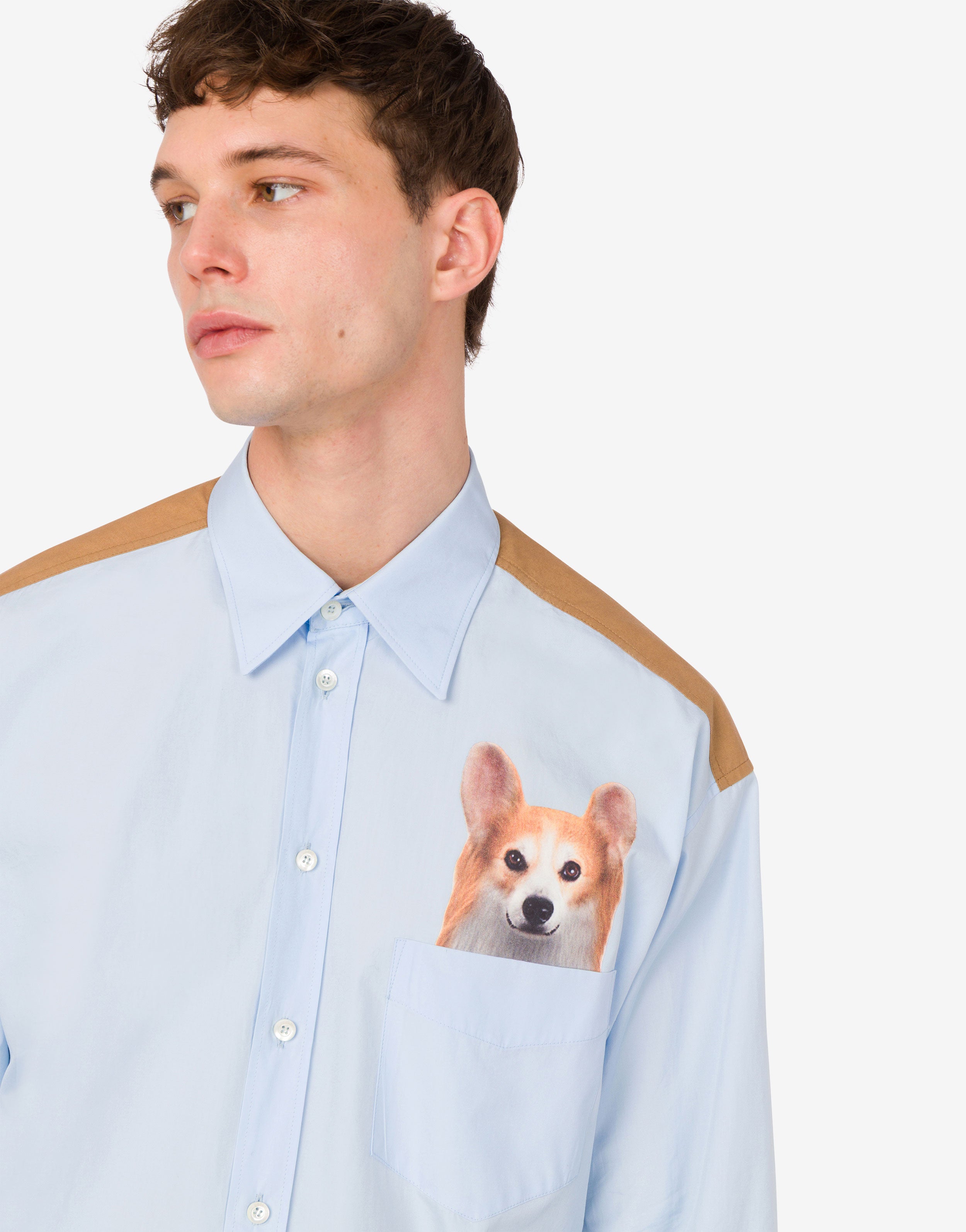 Printed cotton poplin shirt | Moschino