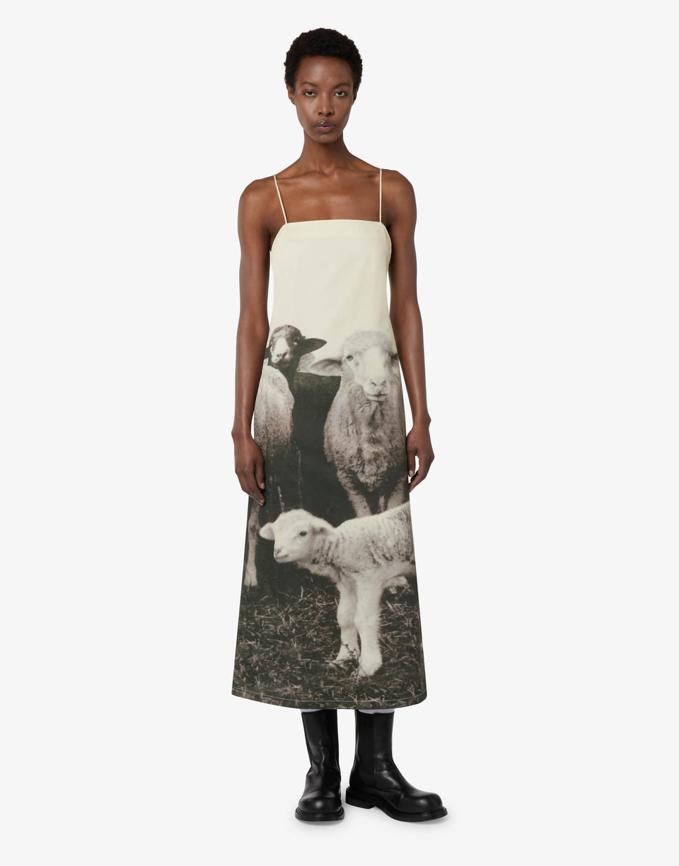 Vestido de gabardina de algodón estampado Gris Moschino 0