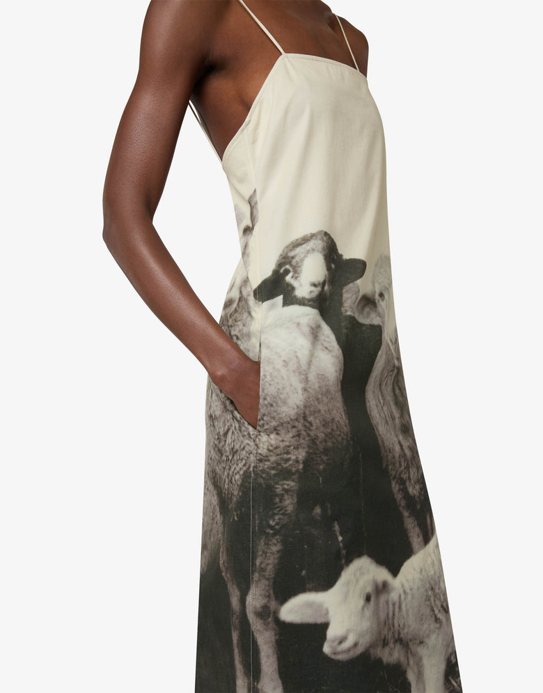 Vestido de gabardina de algodón estampado Gris Moschino 2