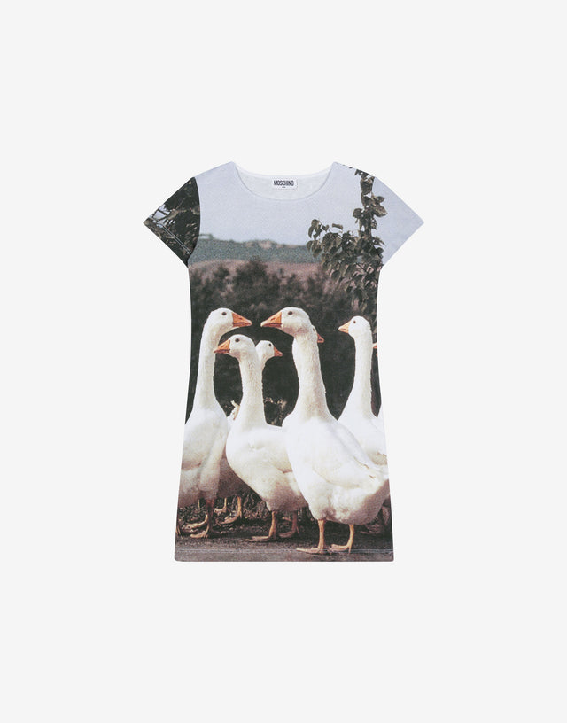 Cotton interlock dress Goose Multicoloured Moschino 0
