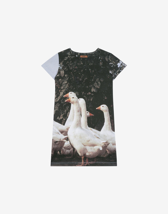 Cotton interlock dress Goose Multicoloured Moschino 1