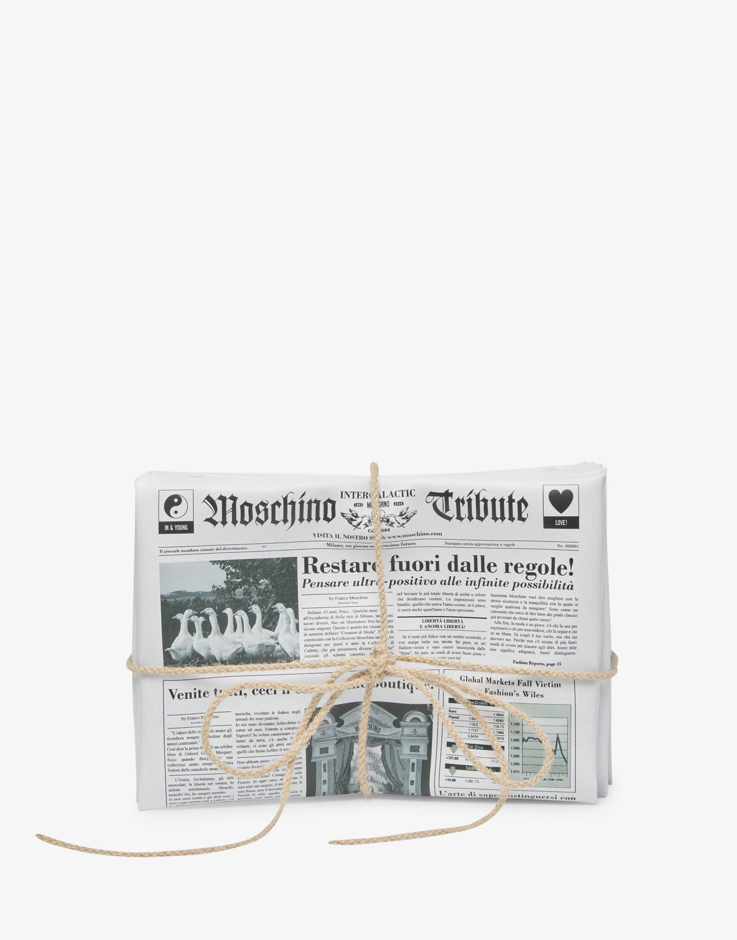 Newspaper bag
